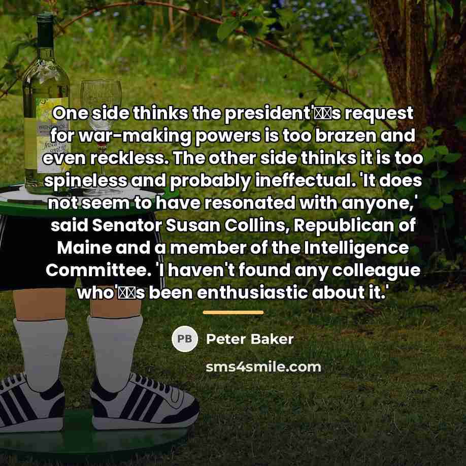 “One side thinks the president's request for war-making powers is…” quote by Peter Baker