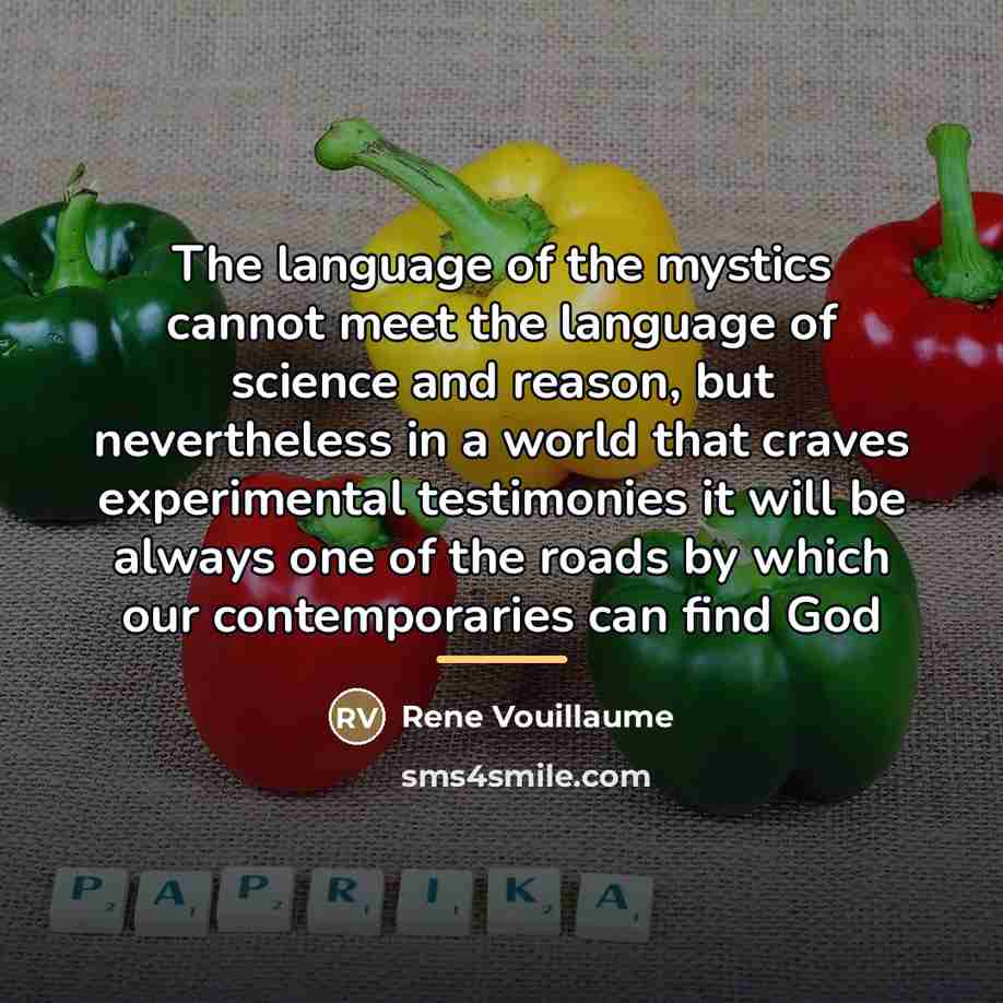 “The language of the mystics cannot meet the language of…” quote by Rene Vouillaume