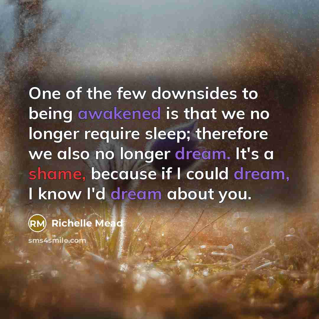 “One of the few downsides to being awakened is that we no longer require sleep; therefore we also no longer dream. It's a shame, because if I could dream, I know I'd dream about you.” quote by Richelle Mead