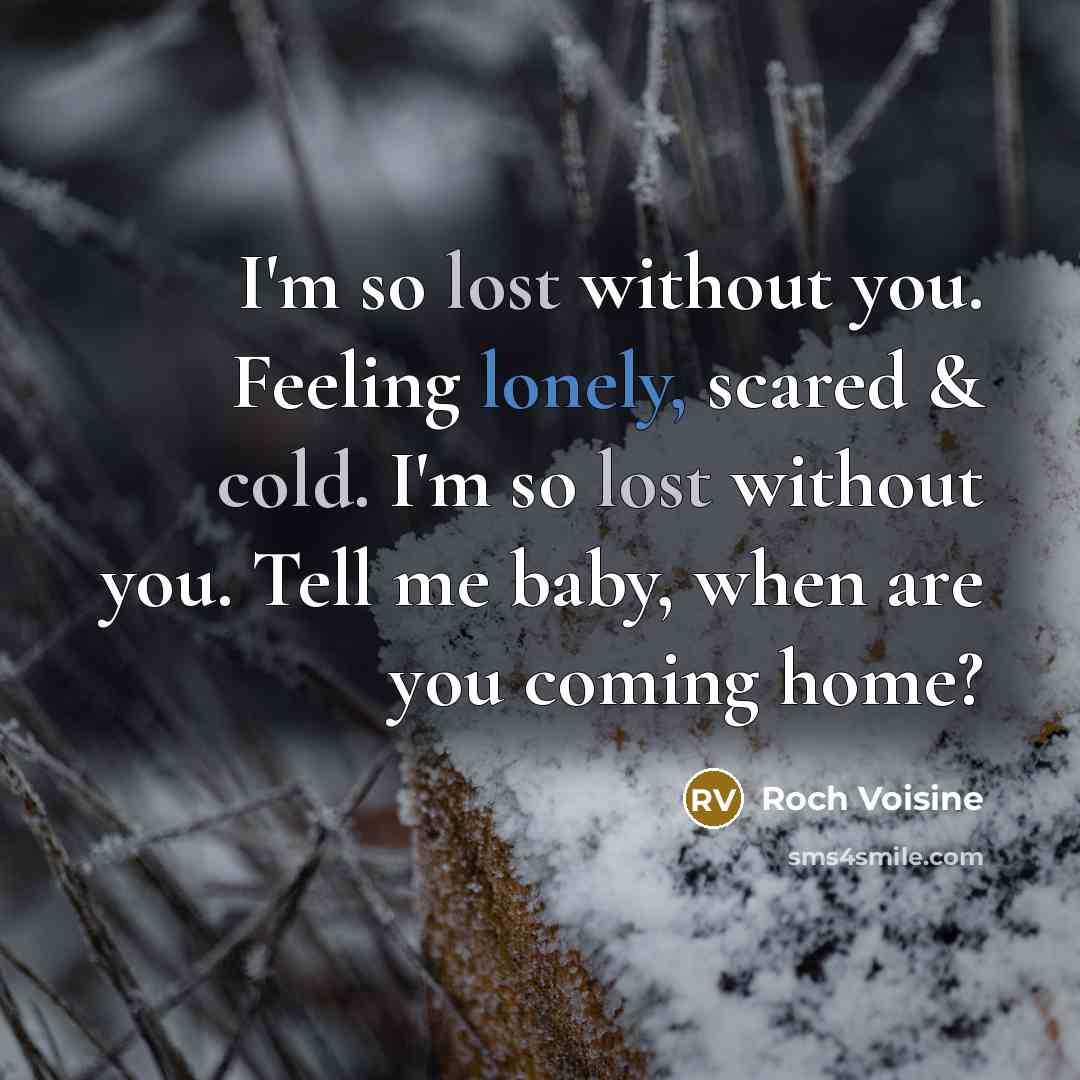 “I'm so lost without you. Feeling lonely, scared & cold.…” quote by Roch Voisine