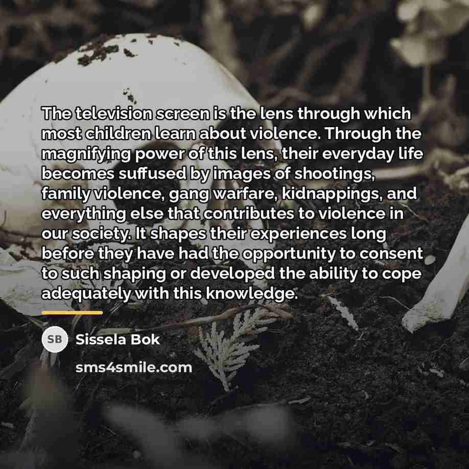 “The television screen is the lens through which most children…” quote by Sissela Bok