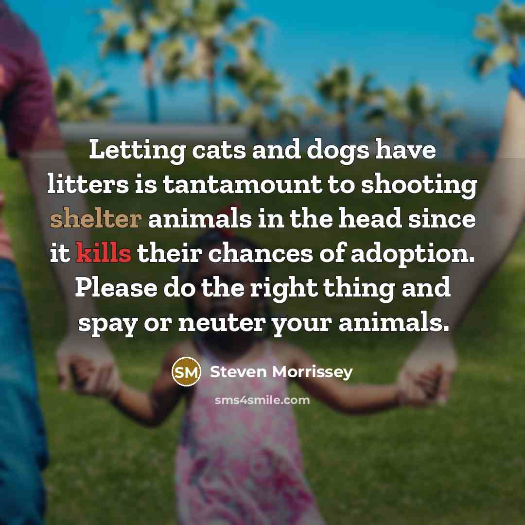 “Letting cats and dogs have litters is tantamount to shooting…” quote by Steven Morrissey