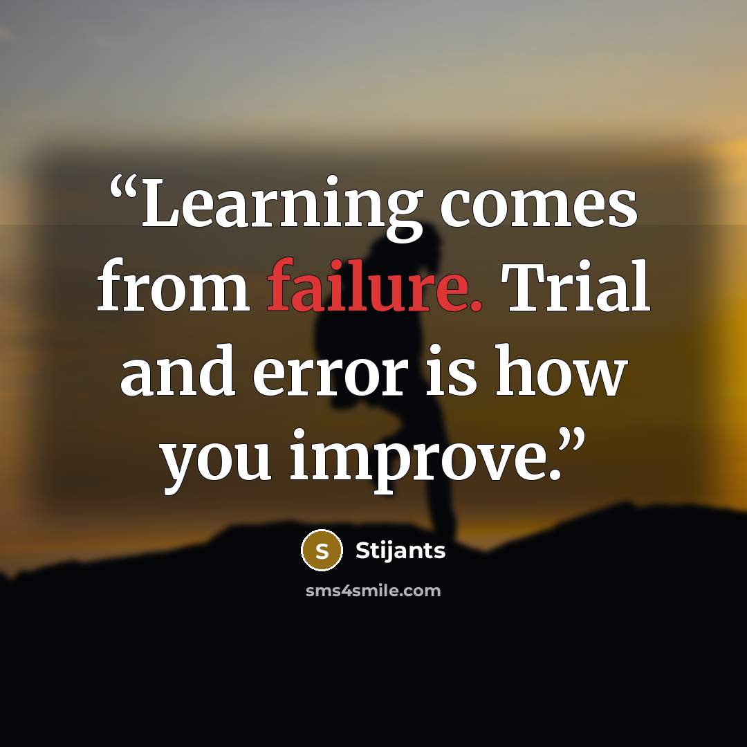 “Learning comes from failure. Trial and error is how you improve.” quote by Stijants