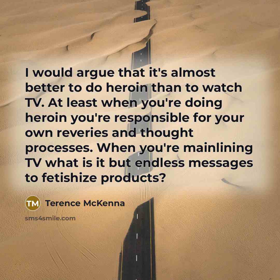 “I would argue that it's almost better to do heroin…” quote by Terence McKenna