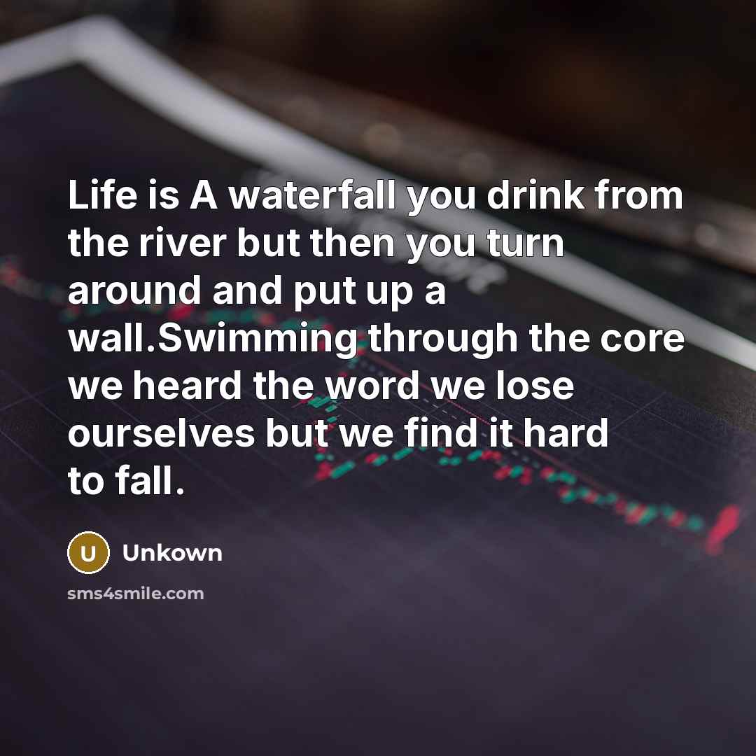 “Life is A waterfall you drink from the river but…” quote by Unkown