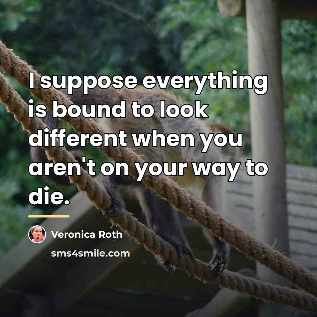 “I suppose everything is bound to look different when you…” quote by Veronica Roth