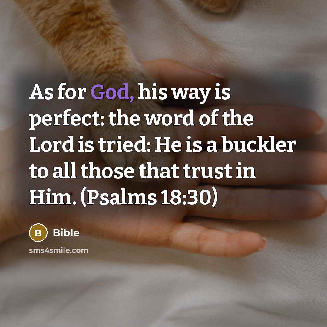 “As for God, his way is perfect: the word of…” quote by Bible