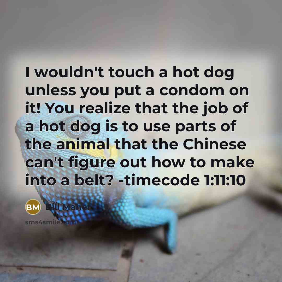 “I wouldn't touch a hot dog unless you put a…” quote by Bill Maher