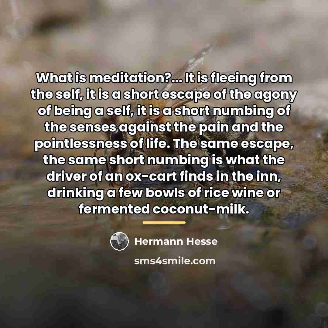 “What is meditation?... It is fleeing from the self, it…” quote by Hermann Hesse