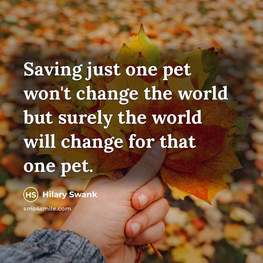 “Saving just one pet won't change the world but surely…” quote by Hilary Swank