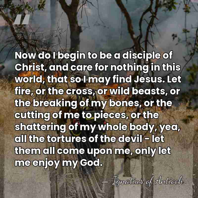 Now do I begin to be a disciple of Christ, and care&hellip; - Ignatius of Antioch