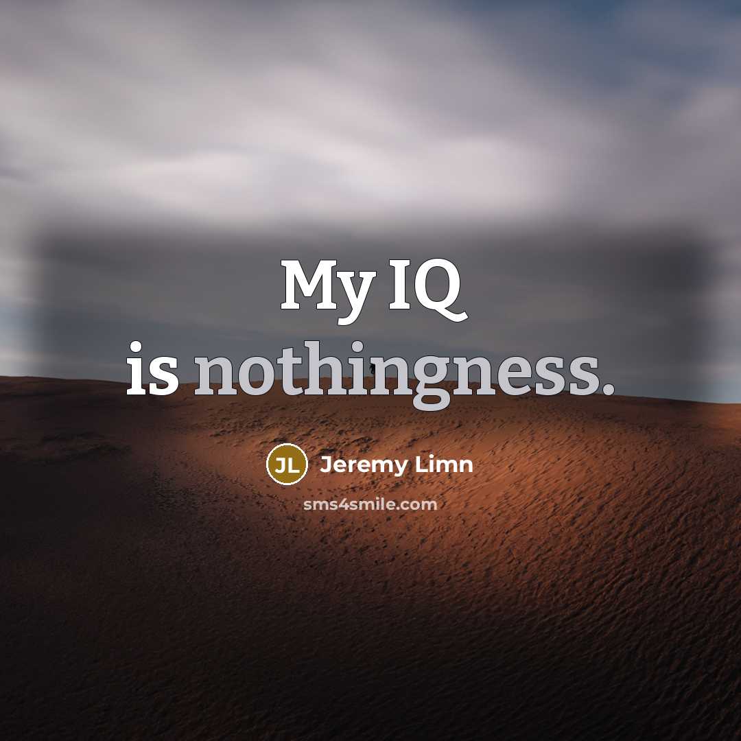 “My IQ is nothingness.…” quote by Jeremy Limn