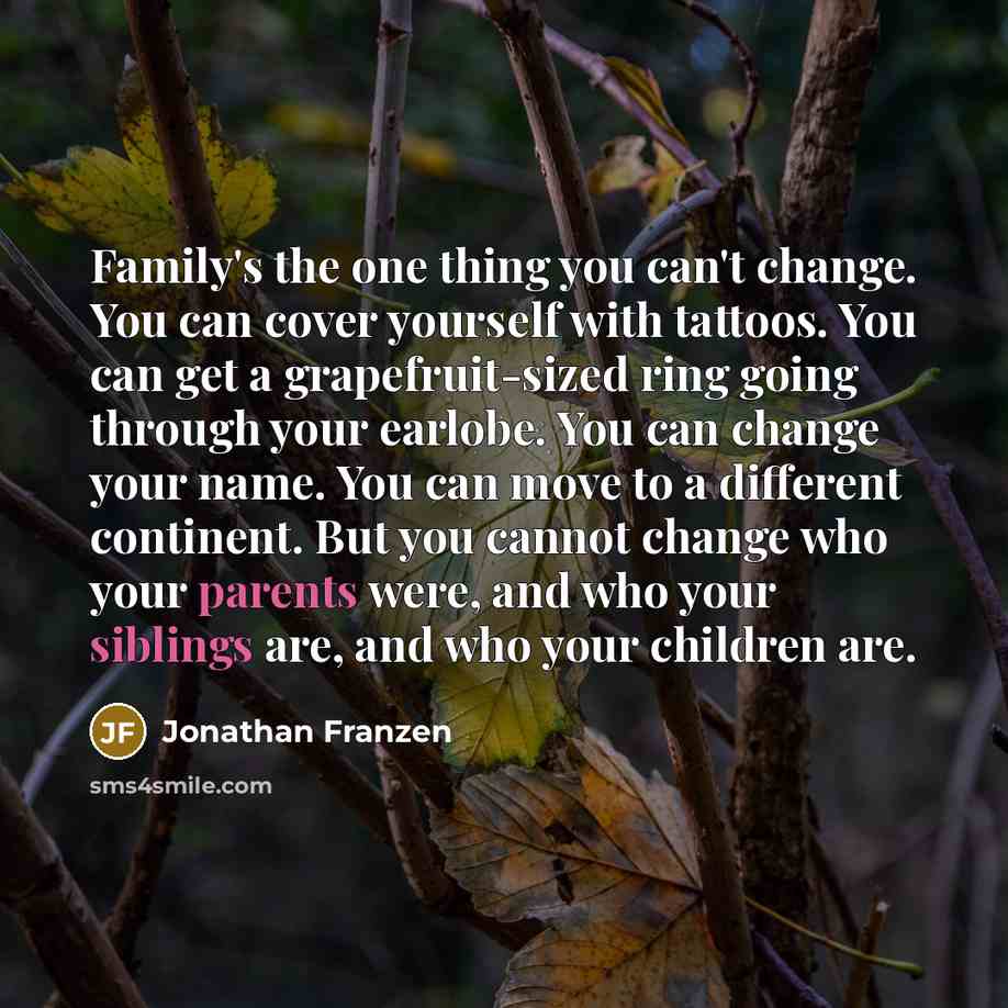 “Family's the one thing you can't change. You can cover…” quote by Jonathan Franzen