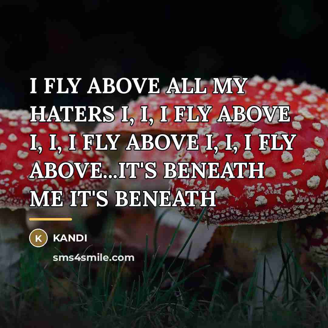 “I FLY ABOVE ALL MY HATERS I, I, I FLY…” quote by Kandi
