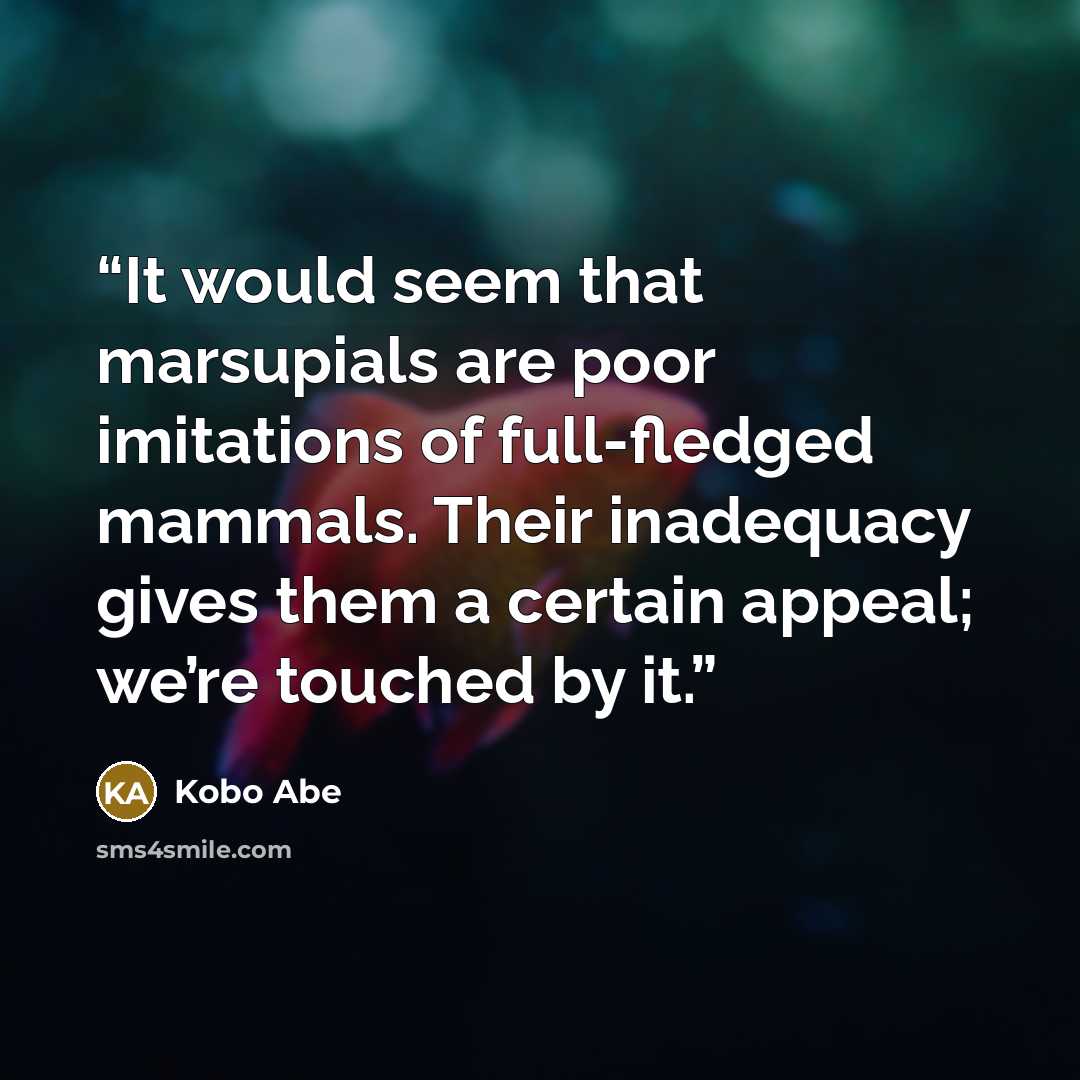 “It would seem that marsupials are poor imitations of full-fledged mammals. Their inadequacy gives them a certain appeal; we’re touched by it.” quote by Kōbō Abe
