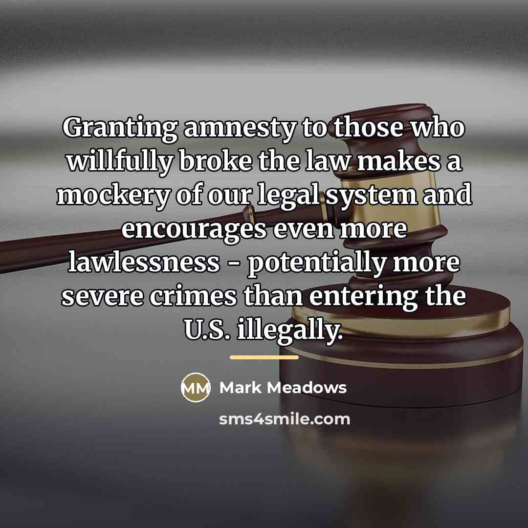 “Granting amnesty to those who willfully broke the law makes…” quote by Mark Meadows