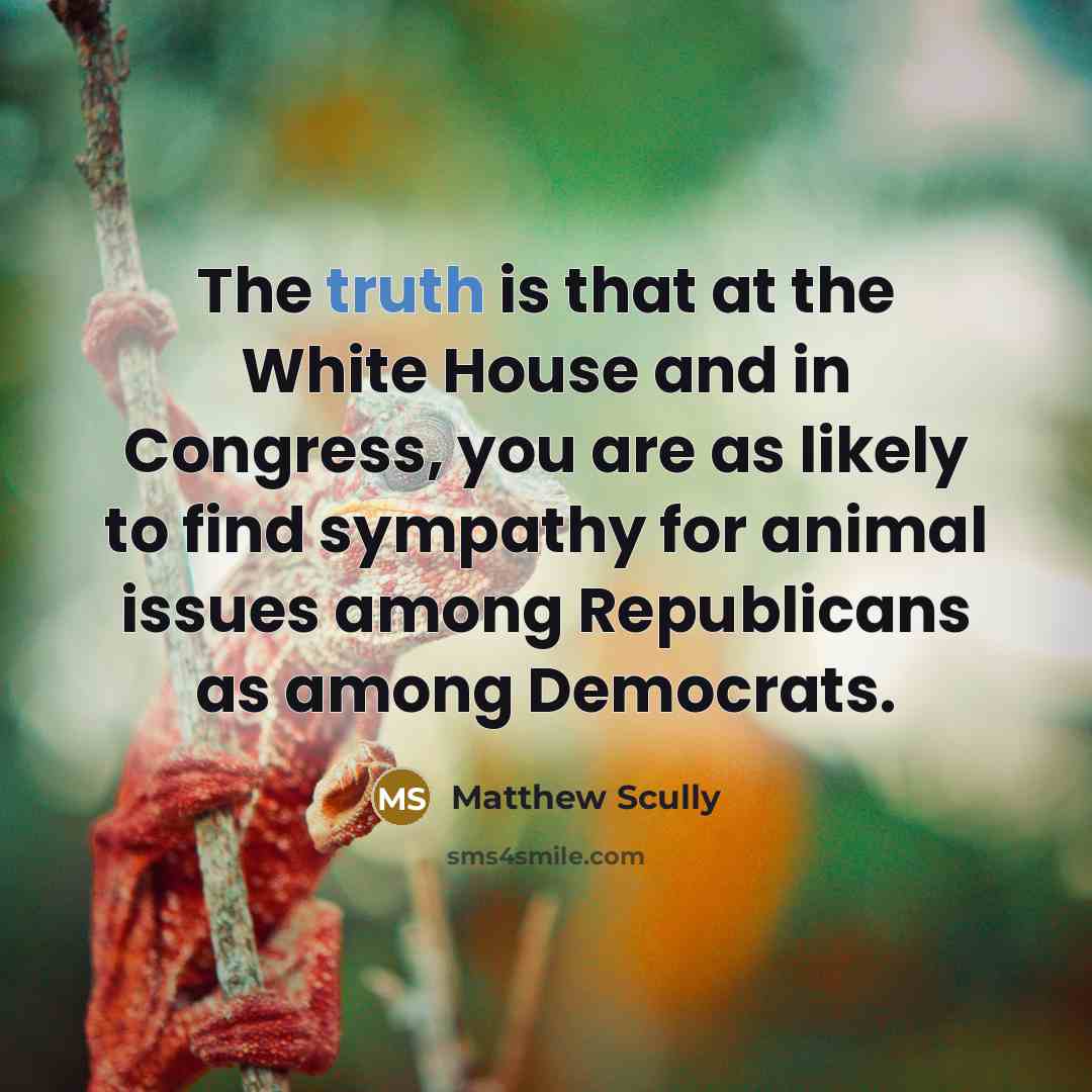“The truth is that at the White House and in…” quote by Matthew Scully