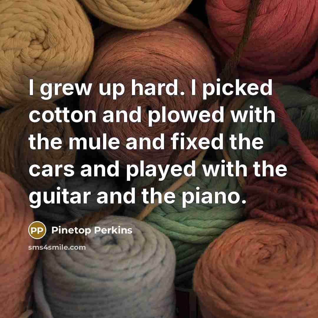 “I grew up hard. I picked cotton and plowed with…” quote by Pinetop Perkins