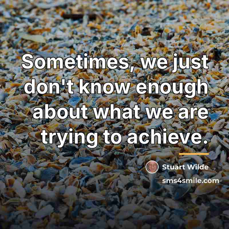 “Sometimes, we just don't know enough about what we are…” quote by Stuart Wilde