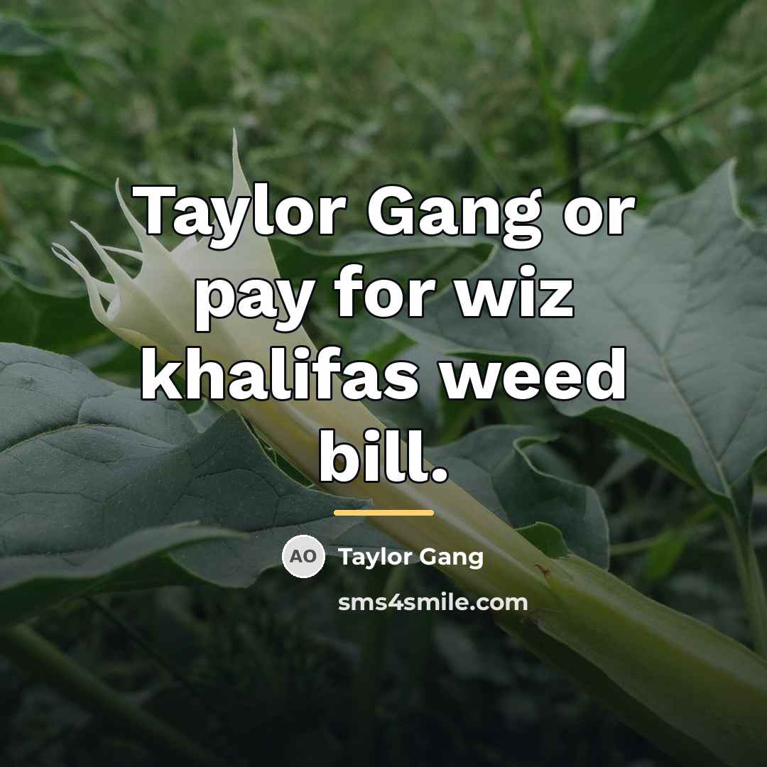 “Taylor Gang or pay for wiz khalifas weed bill.…” quote by Taylor Gang