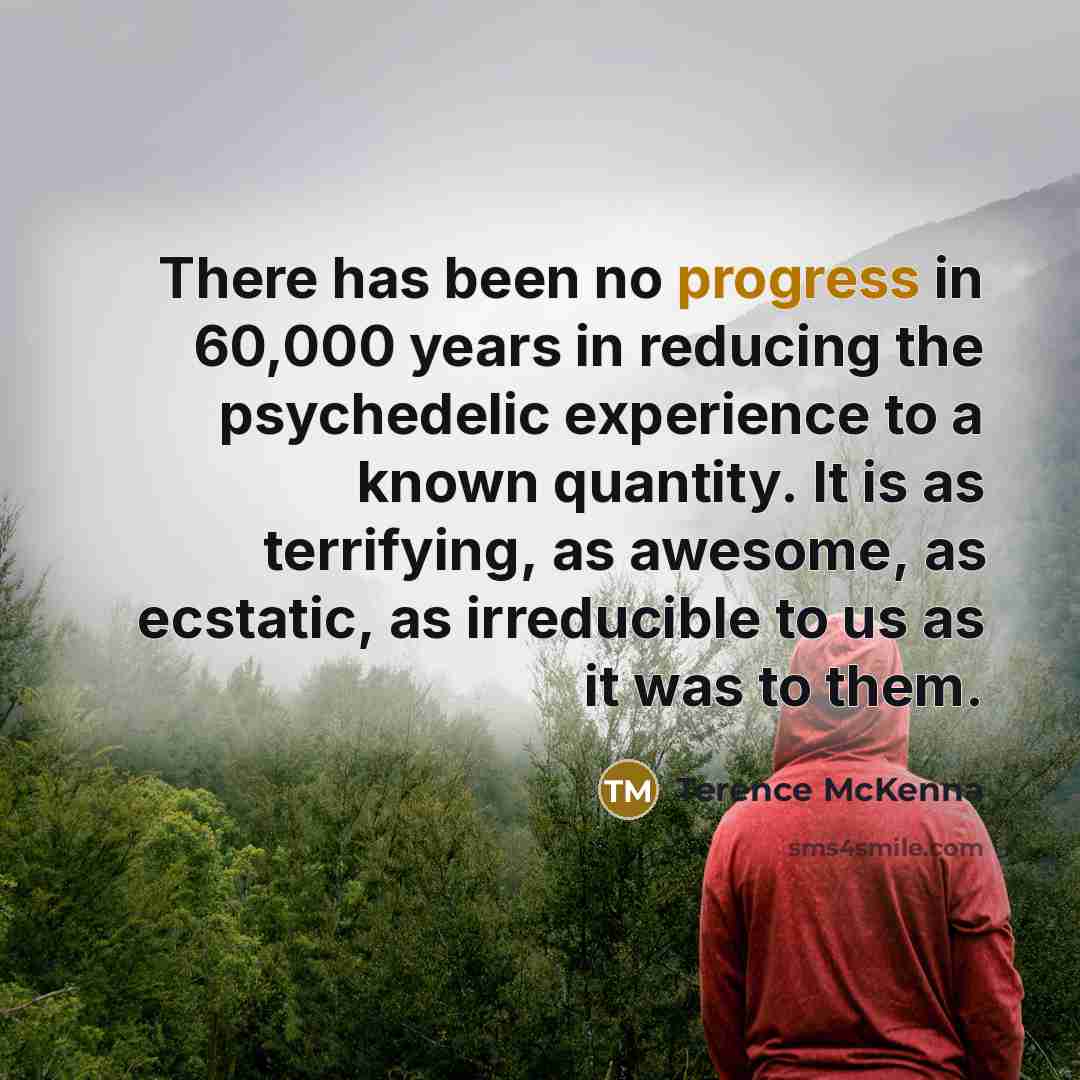 “There has been no progress in 60,000 years in reducing…” quote by Terence McKenna