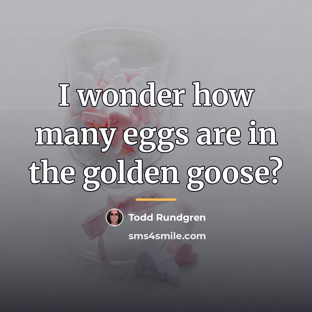 “I wonder how many eggs are in the golden goose?…” quote by Todd Rundgren