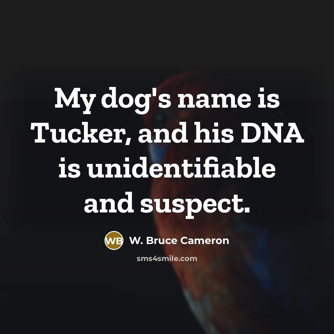 “My dog's name is Tucker, and his DNA is unidentifiable and suspect.” quote by W. Bruce Cameron
