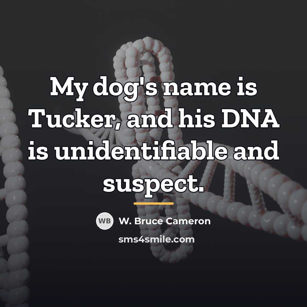 “My dog's name is Tucker, and his DNA is unidentifiable…” quote by W. Bruce Cameron