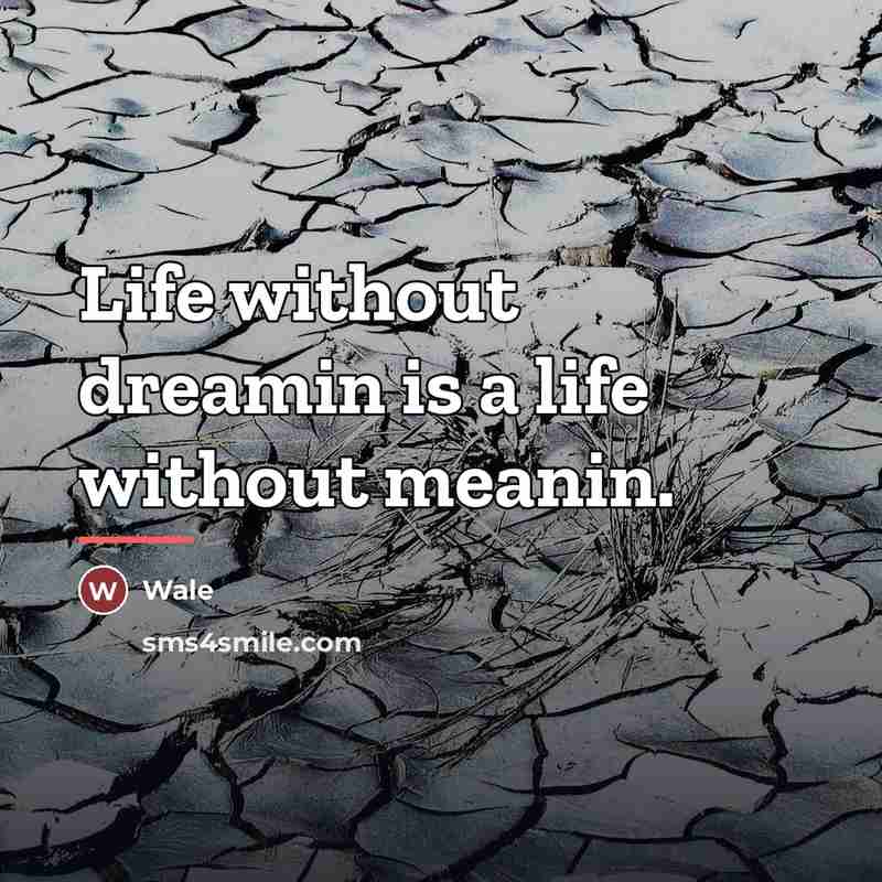 “Life without dreamin is a life without meanin.…” quote by Wale