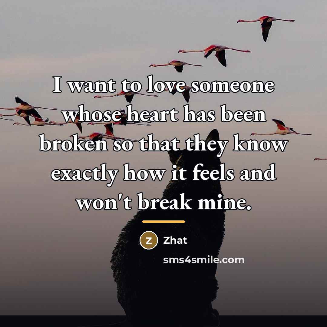“I want to love someone whose heart has been broken…” quote by Zhat