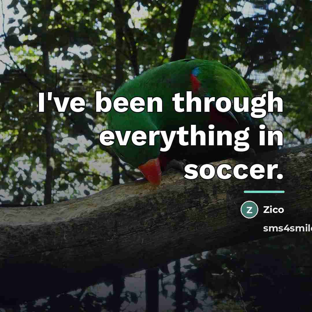 “I've been through everything in soccer.…” quote by Zico