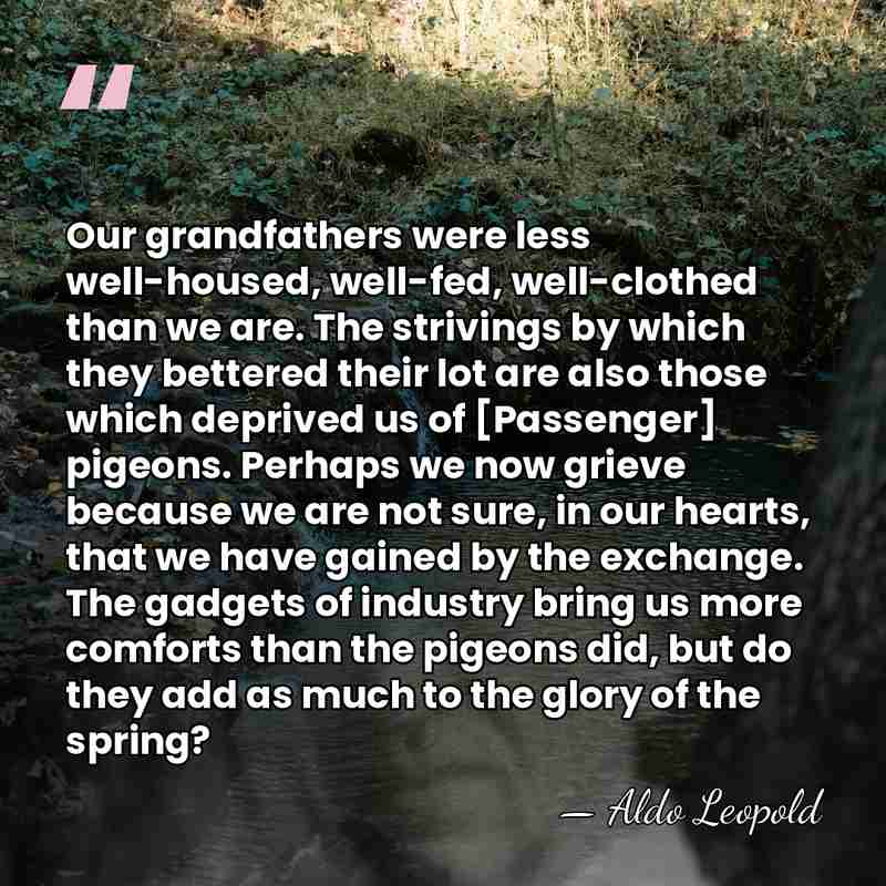 Our grandfathers were less well-housed, well-fed, well-clothed than we are. The strivings&hellip; - Aldo Leopold