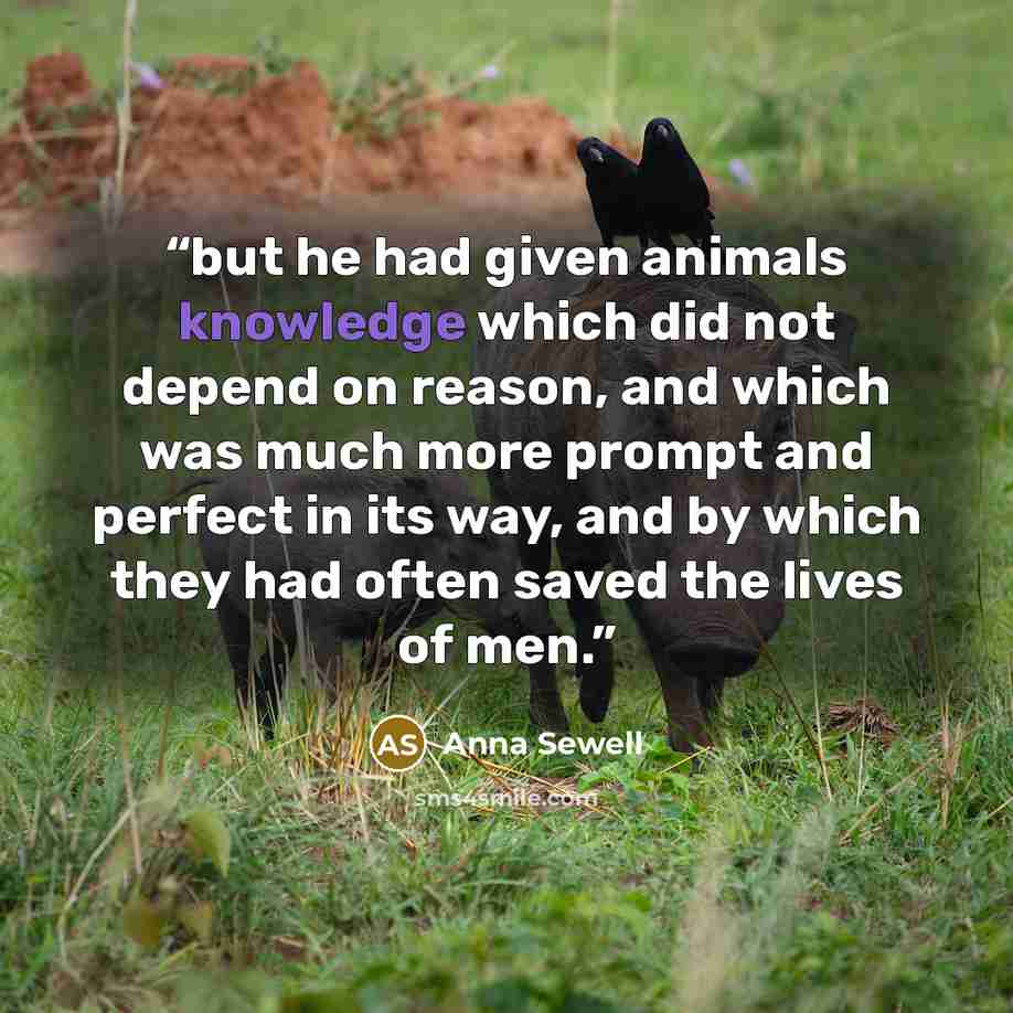 “but he had given animals knowledge which did not depend on reason, and which was much more prompt and perfect in its way, and by which they had often saved the lives of men.” quote by Anna Sewell