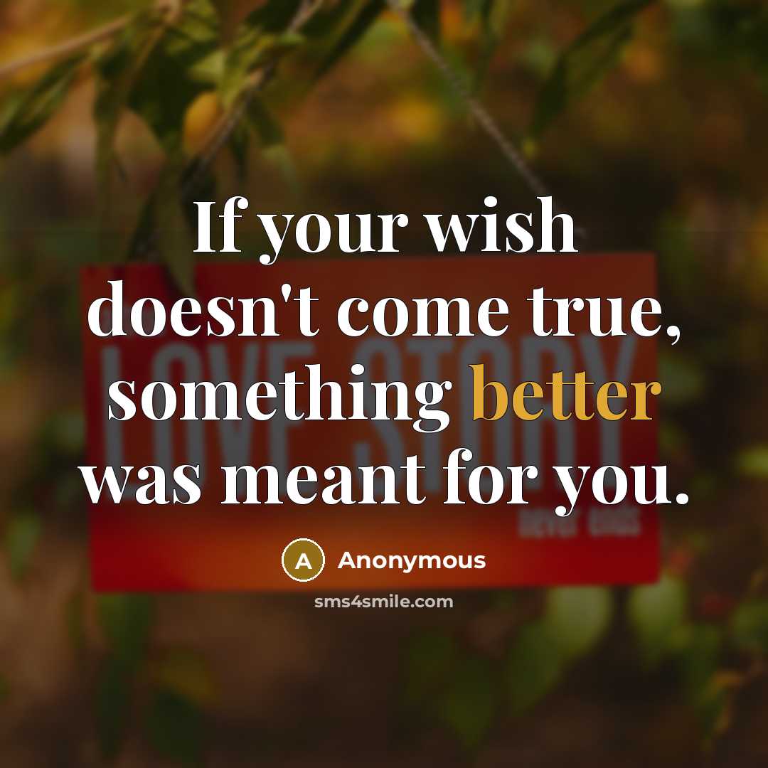 “If your wish doesn't come true, something better was meant for you.” quote by Anonymous