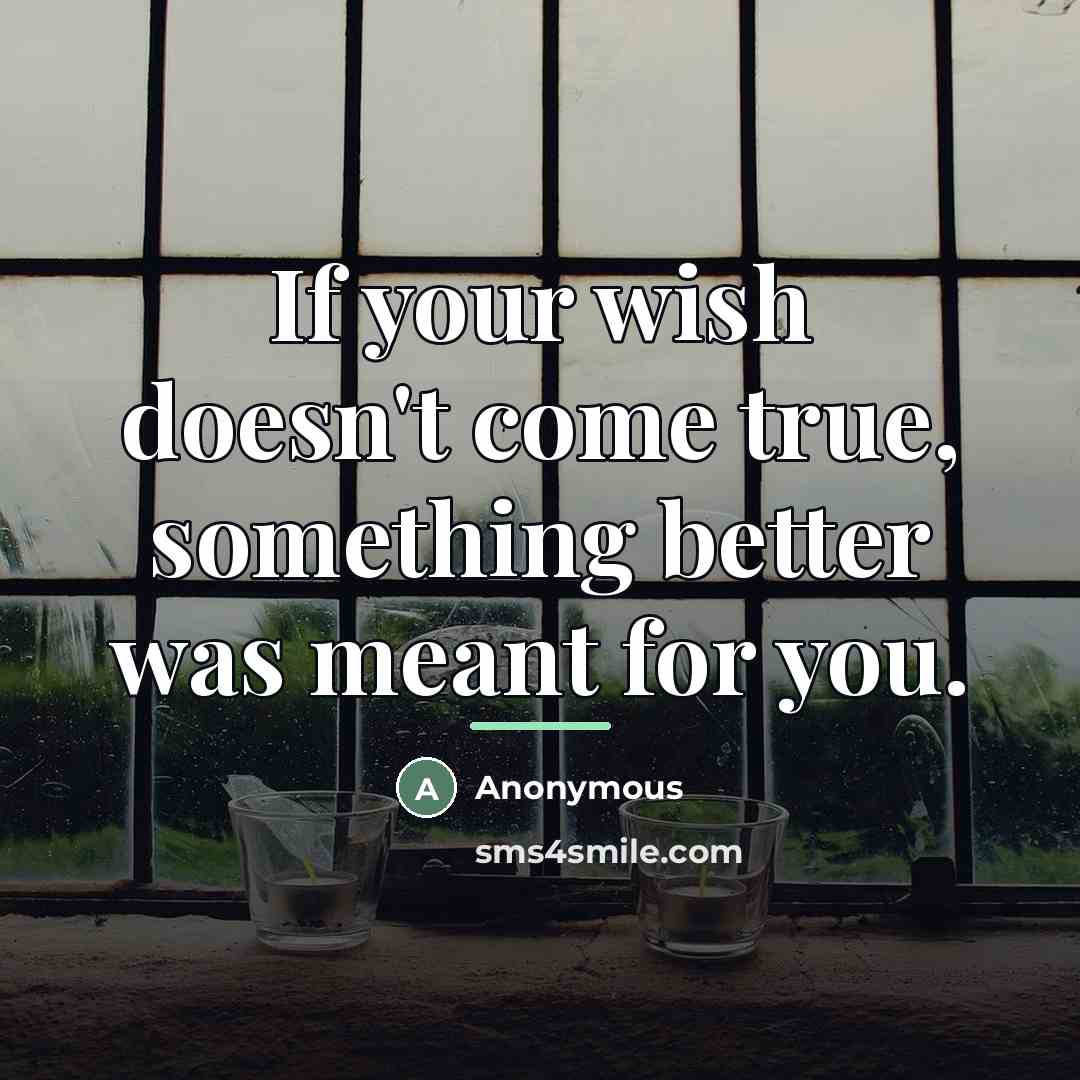 “If your wish doesn't come true, something better was meant…” quote by Anonymous