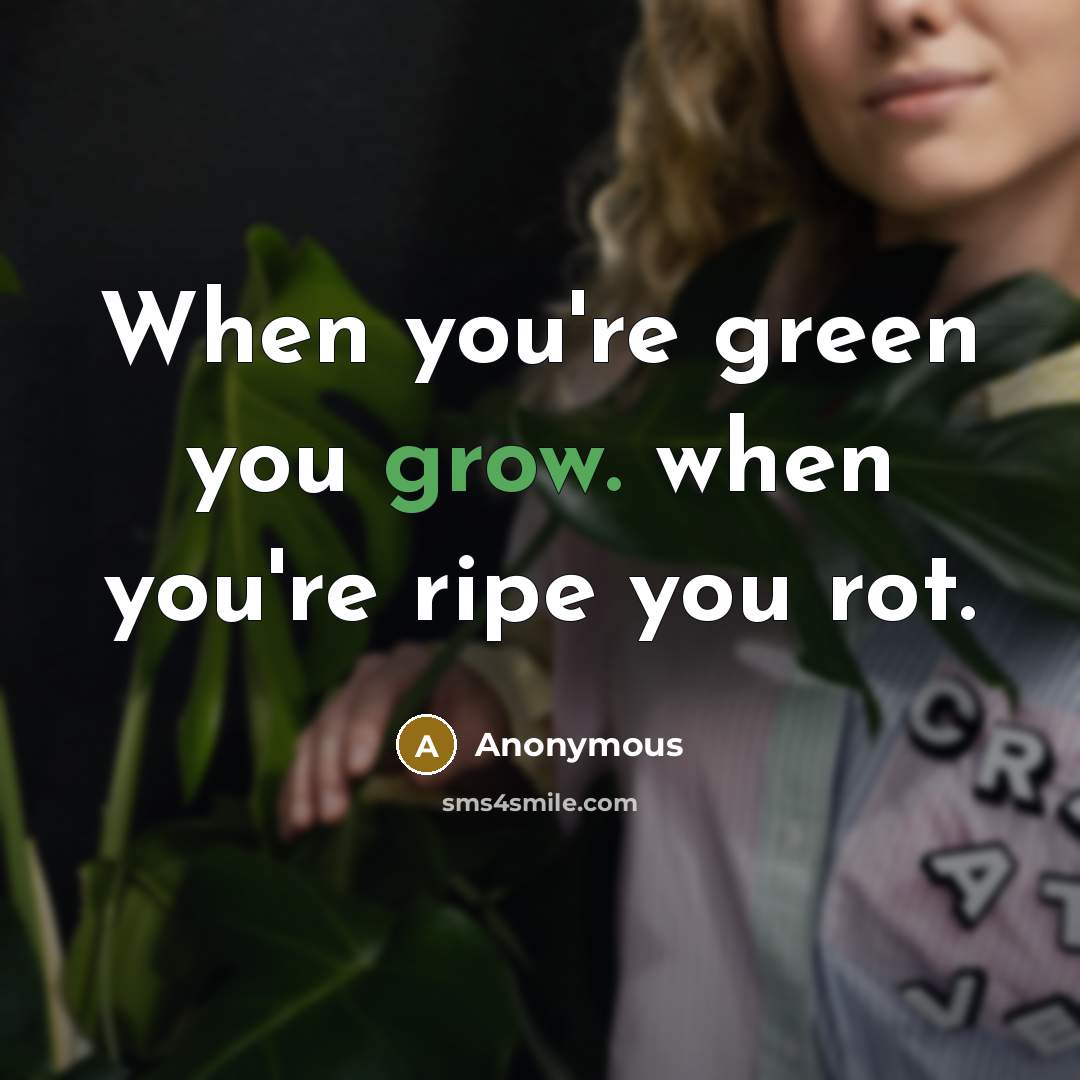 “When you're green you grow. when you're ripe you rot.” quote by Anonymous