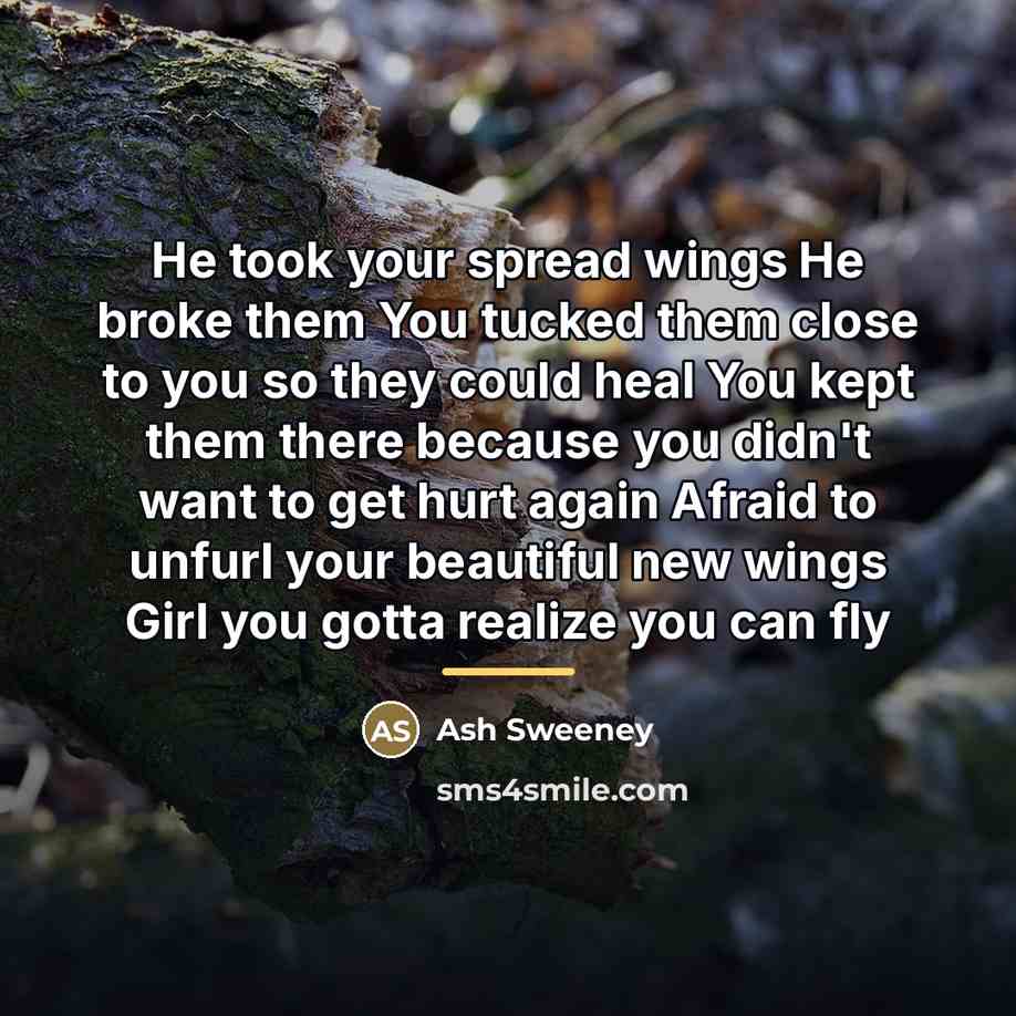 “He took your spread wings He broke them You tucked…” quote by Ash Sweeney