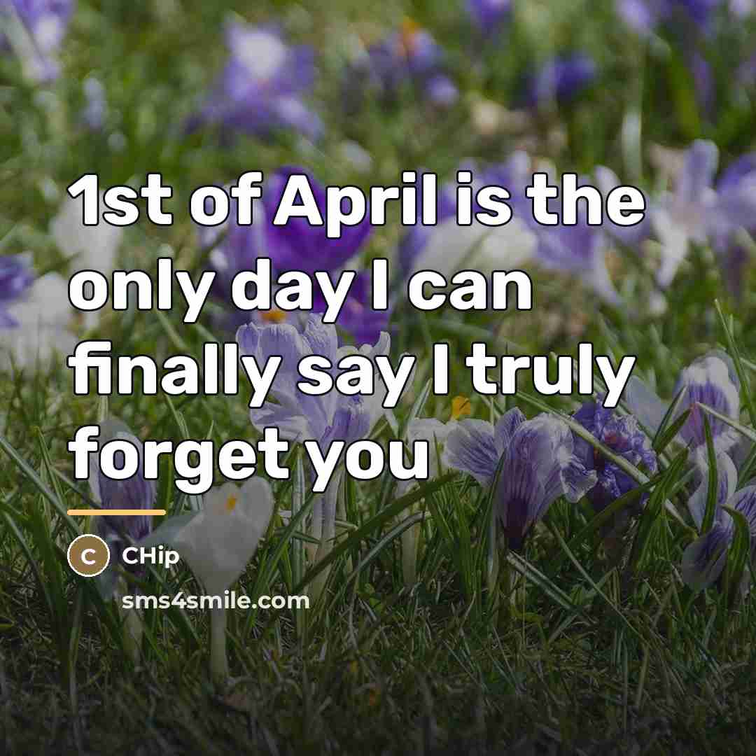 “1st of April is the only day I can finally…” quote by CHip