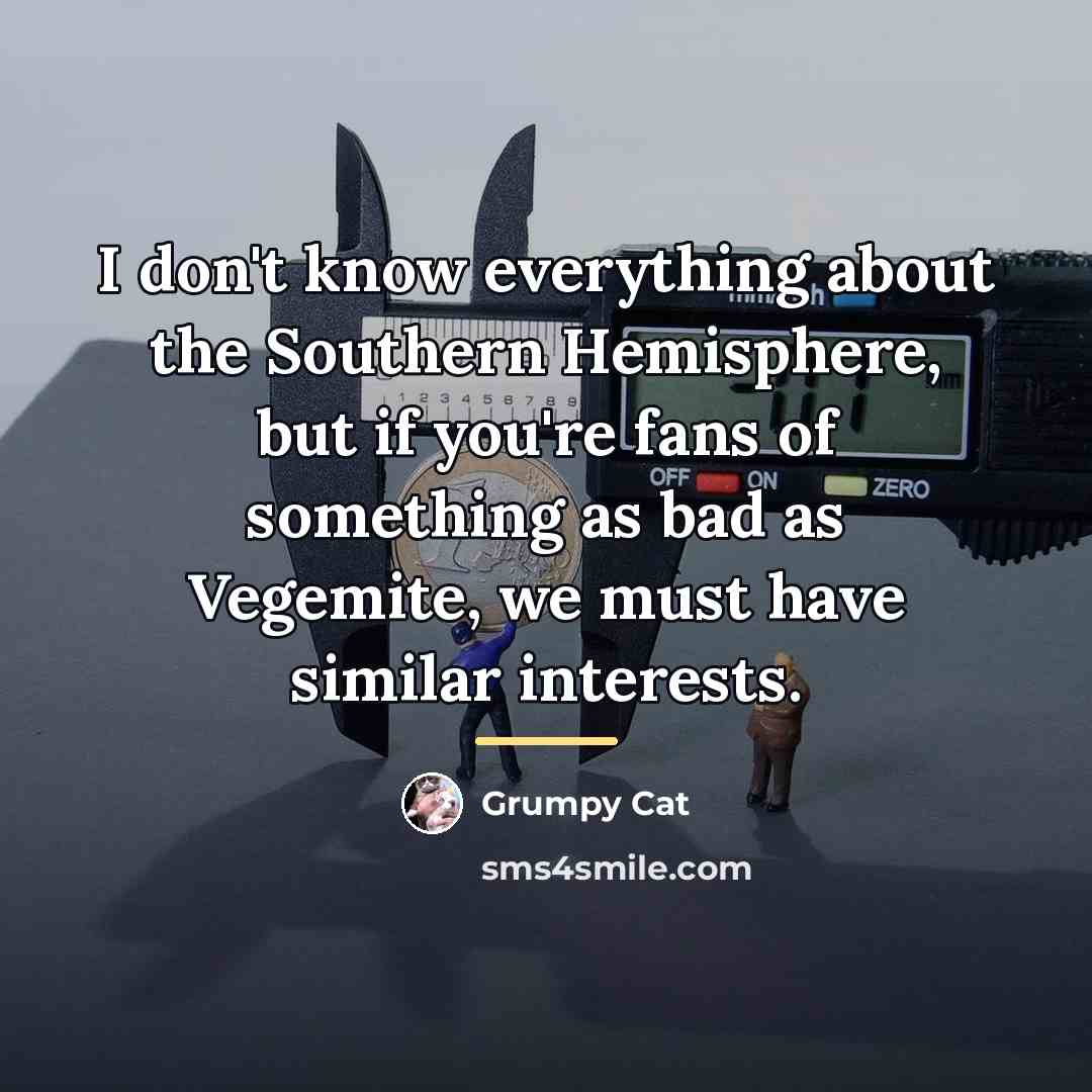 “I don't know everything about the Southern Hemisphere, but if…” quote by Grumpy Cat