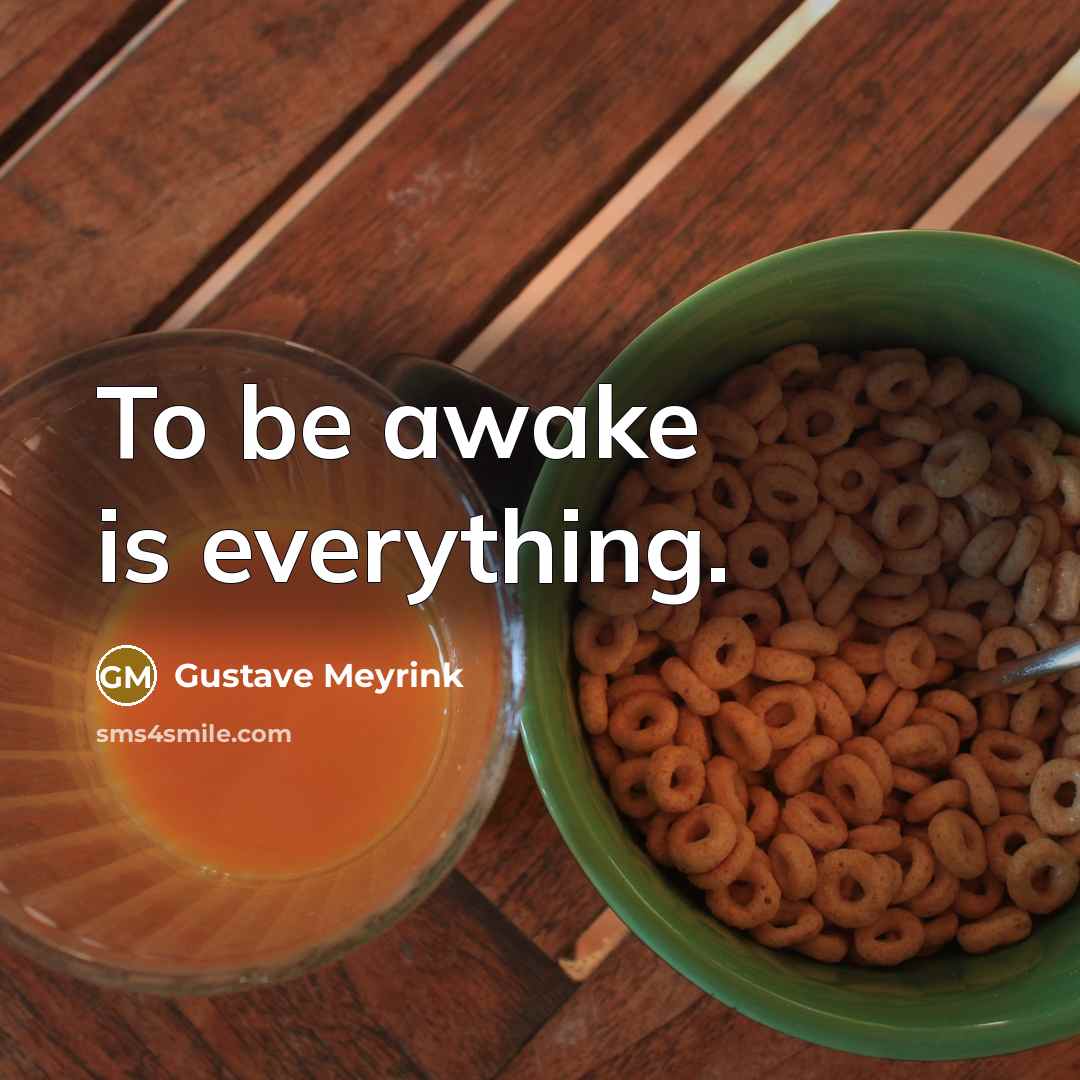 “To be awake is everything.…” quote by Gustave Meyrink
