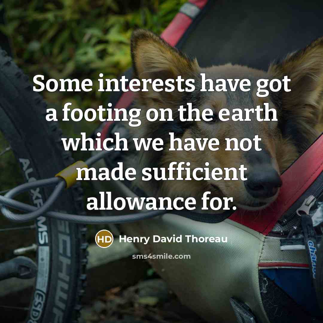 “Some interests have got a footing on the earth which…” quote by Henry David Thoreau