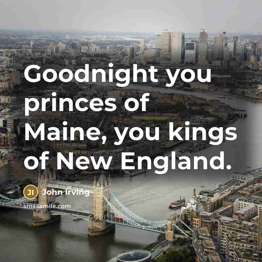 “Goodnight you princes of Maine, you kings of New England.…” quote by John Irving