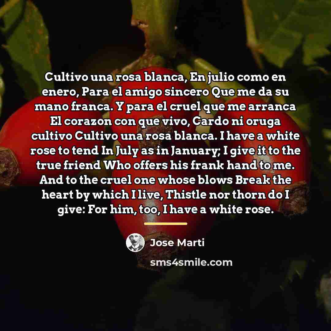 “Cultivo una rosa blanca, En julio como en enero, Para…” quote by Jose Marti