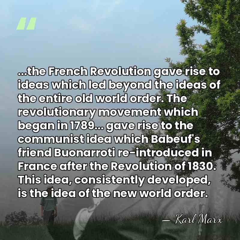 ...the French Revolution gave rise to ideas which led beyond the ideas&hellip; - Karl Marx