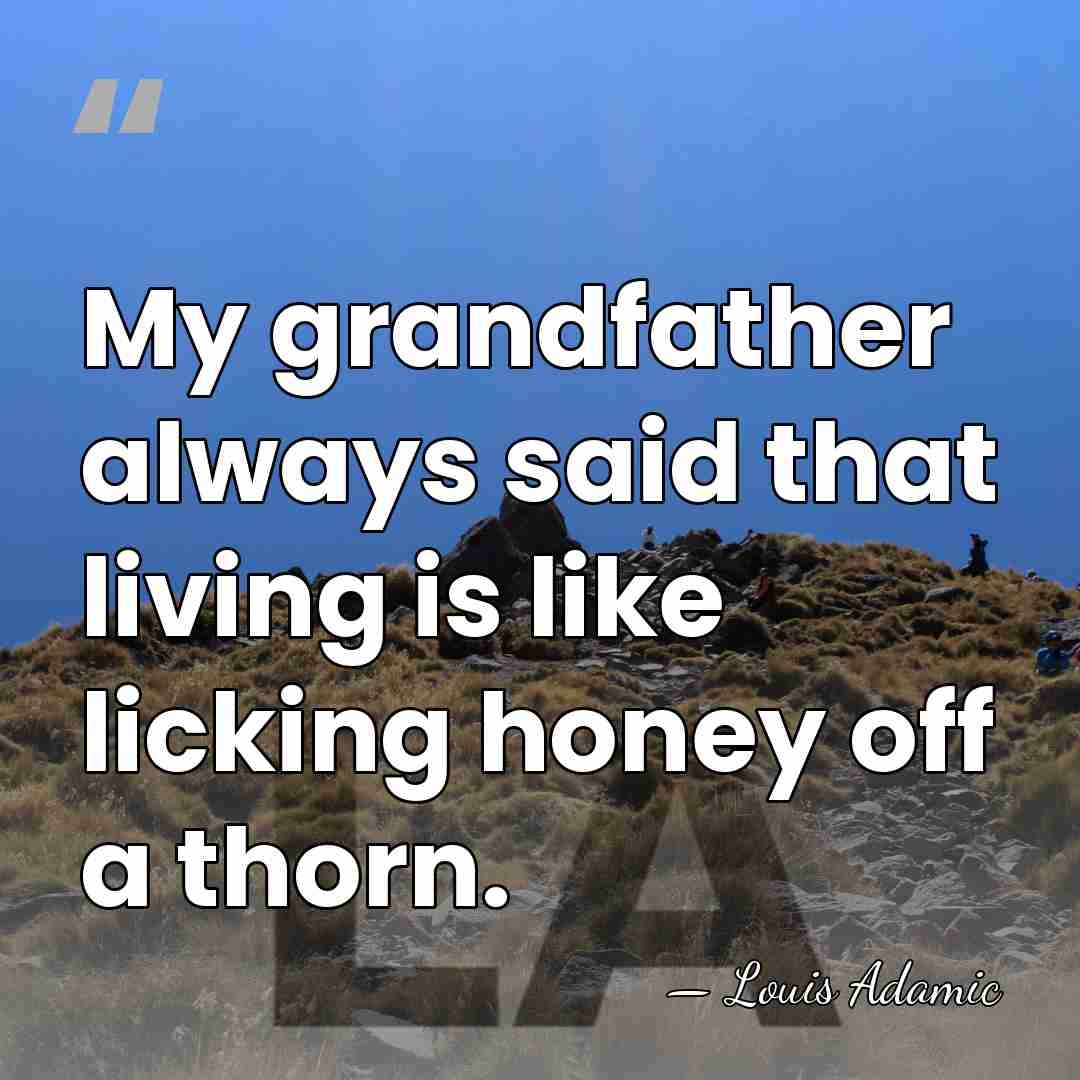 My grandfather always said that living is like licking honey off a&hellip; - Louis Adamic