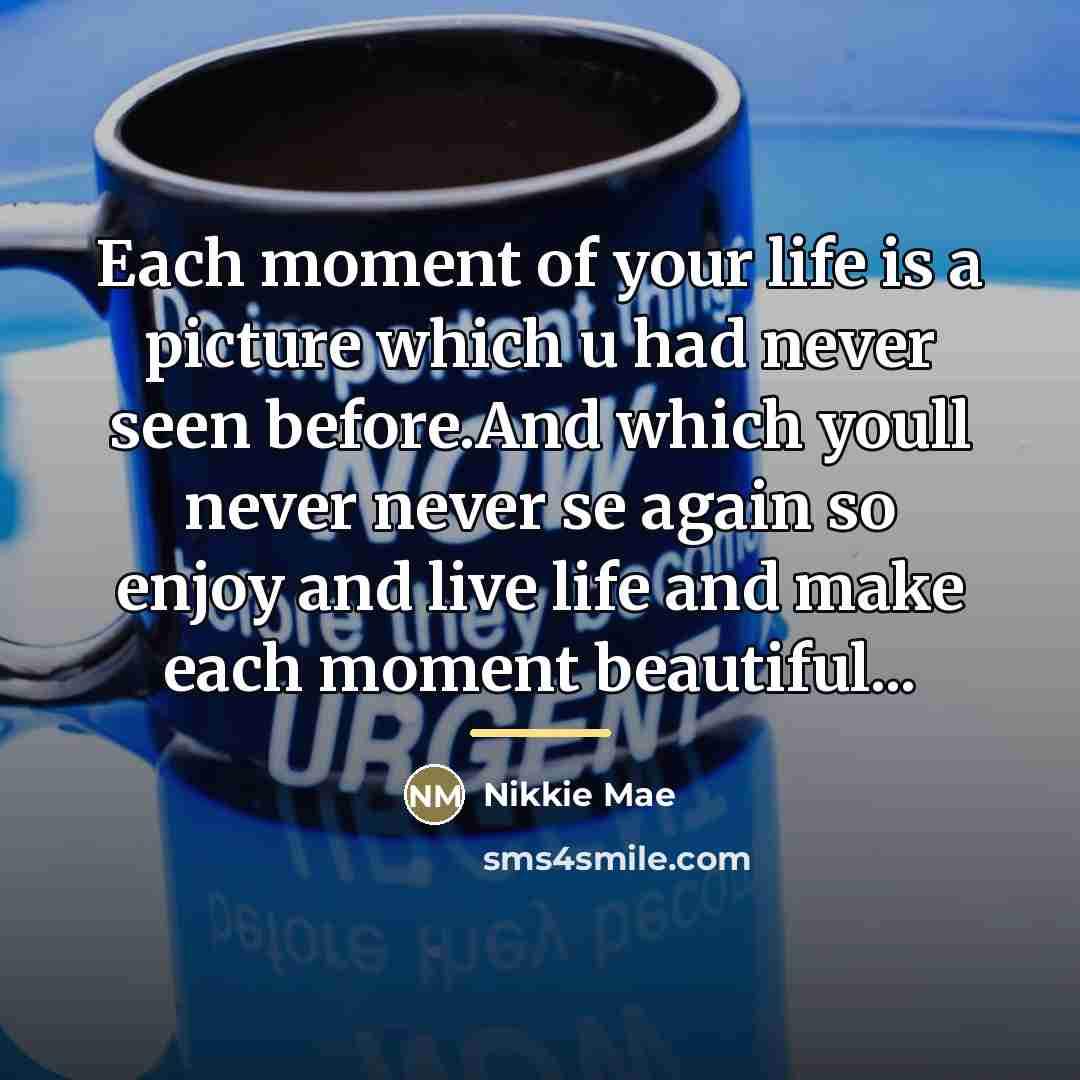 “Each moment of your life is a picture which u…” quote by Nikkie Mae