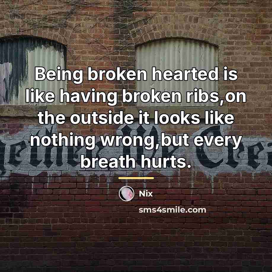 “Being broken hearted is like having broken ribs,on the outside…” quote by Nix