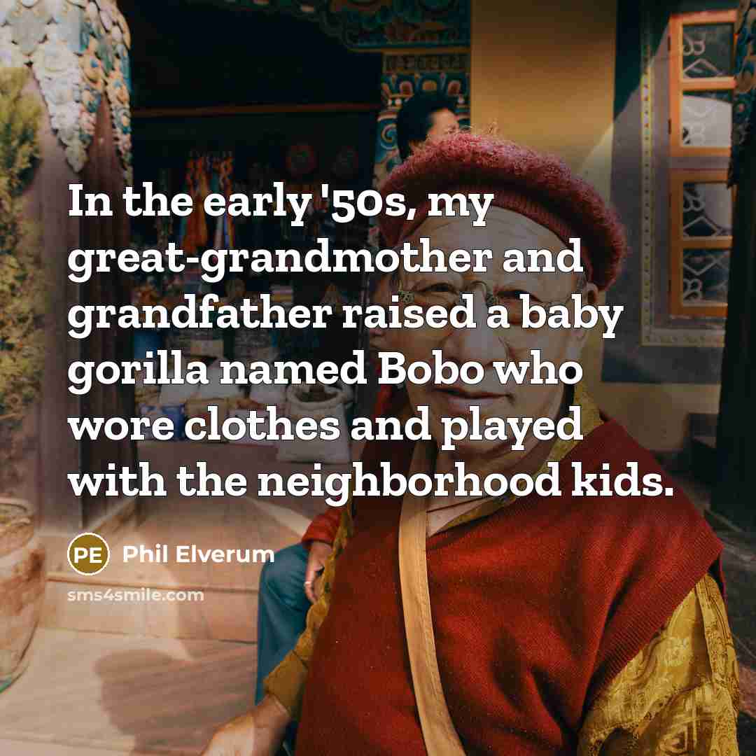 “In the early '50s, my great-grandmother and grandfather raised a…” quote by Phil Elverum
