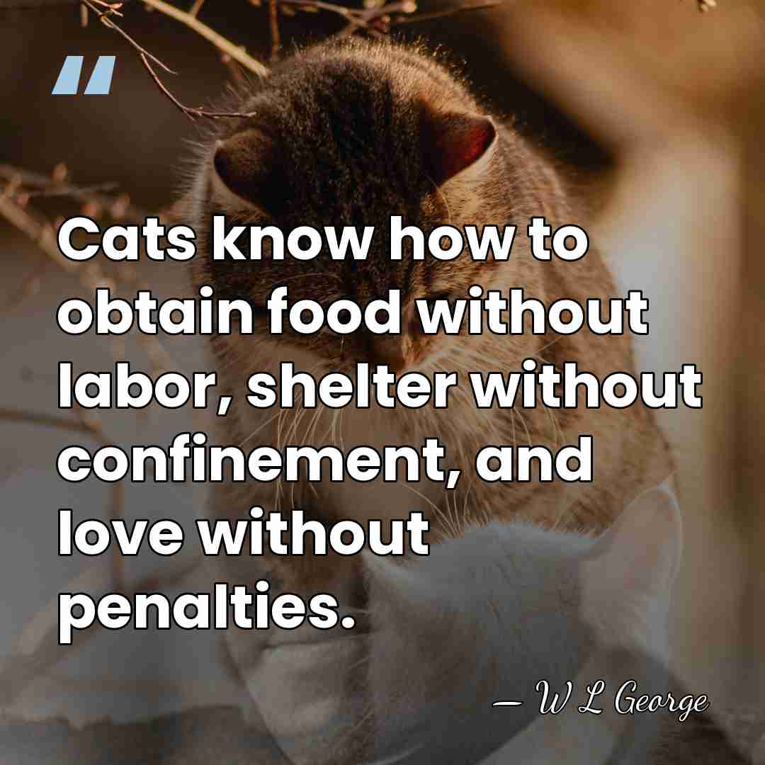 Cats know how to obtain food without labor, shelter without confinement, and&hellip; - W L George