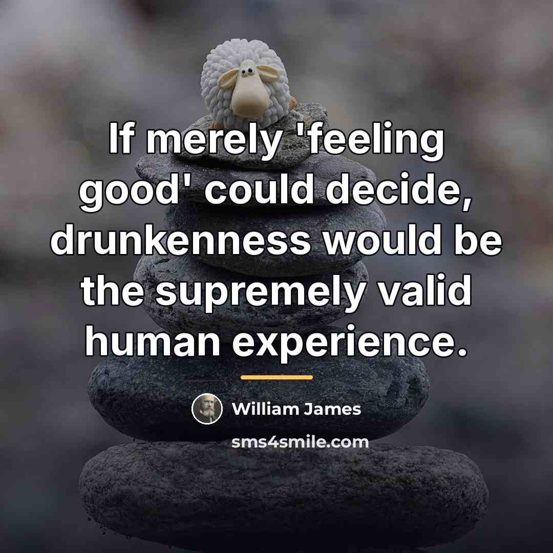 “If merely 'feeling good' could decide, drunkenness would be the…” quote by William James
